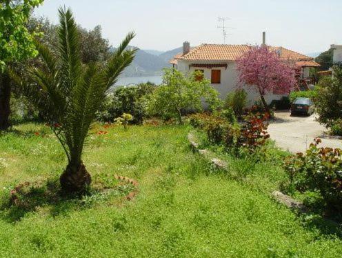 Chrissomallis Kalivia (Skiathos)