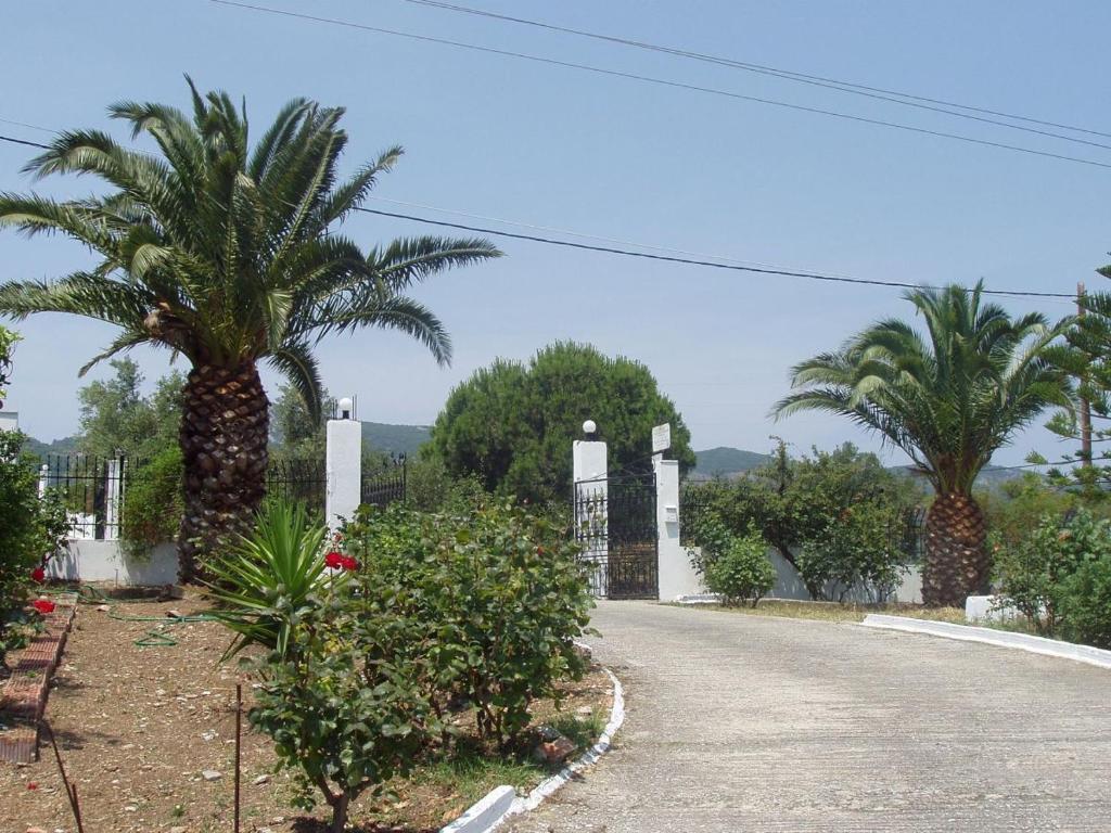 Apartment Chrissomallis Kalivia (Skiathos)