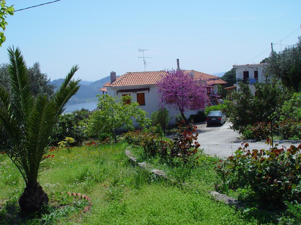 Apartment Chrissomallis Kalivia (Skiathos)